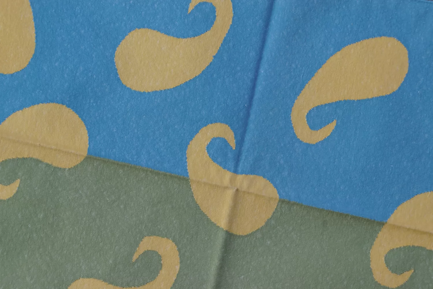 Split Color Paisley Flatweave Cotton Area Rug, Blue Green Yellow 3x5 ft | Rugmoda - Reverse Side reversible blue cotton rug handmade Jodhpur